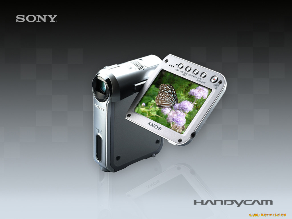 sony, 